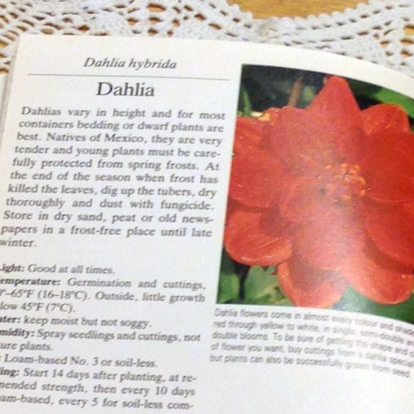 3 for $10 book sale! Vintage Gardening Book, Window Box & Balcony Plants - Picture 6 of 7